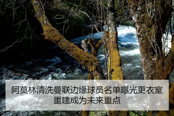 阿莫林清洗曼联边缘球员名单曝光更衣室重建成为未来重点