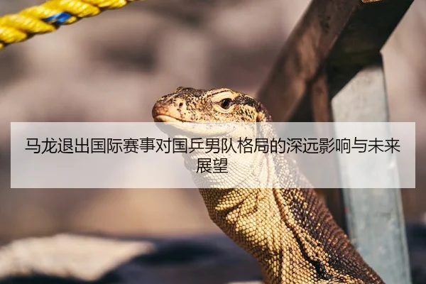 马龙退出国际赛事对国乒男队格局的深远影响与未来展望