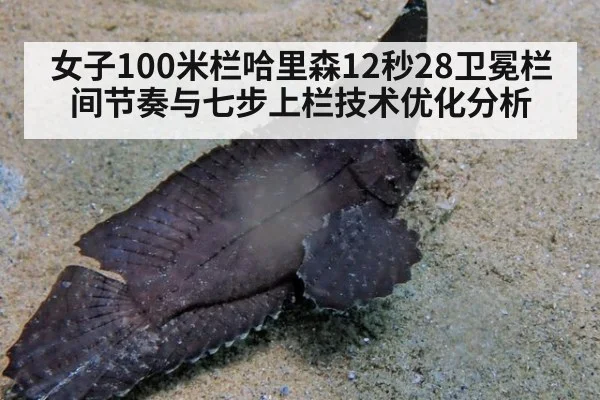 女子100米栏哈里森12秒28卫冕栏间节奏与七步上栏技术优化分析