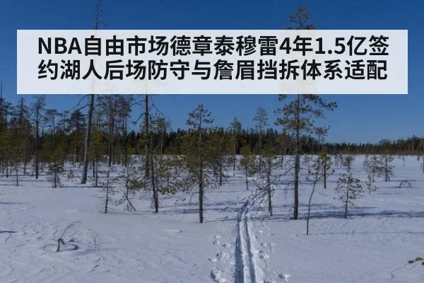 NBA自由市场德章泰穆雷4年1.5亿签约湖人后场防守与詹眉挡拆体系适配