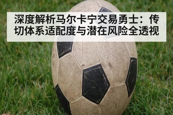 深度解析马尔卡宁交易勇士：传切体系适配度与潜在风险全透视