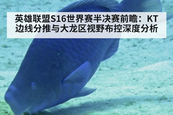 英雄联盟S16世界赛半决赛前瞻：KT边线分推与大龙区视野布控深度分析