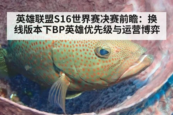 英雄联盟S16世界赛决赛前瞻:换线版本下BP英雄优先级与运营博弈